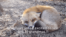 fox-abbey.gif
