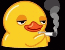 smoking-duck-stoner-duck.gif
